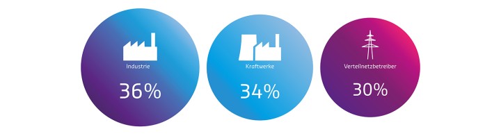 Es folgt eine Bildbeschreibung:
Die Illustration zeigt drei verschieden große kreisrunde Flächen nebeneinander. In diesen Flächen sind Piktogramme mit Prozentzahlen abgebildet:
1. Industrie: 36%
2. Kraftwerke: 34%
Verteilnetzbetreiber: 30%
Ende der Bildbeschreibung.