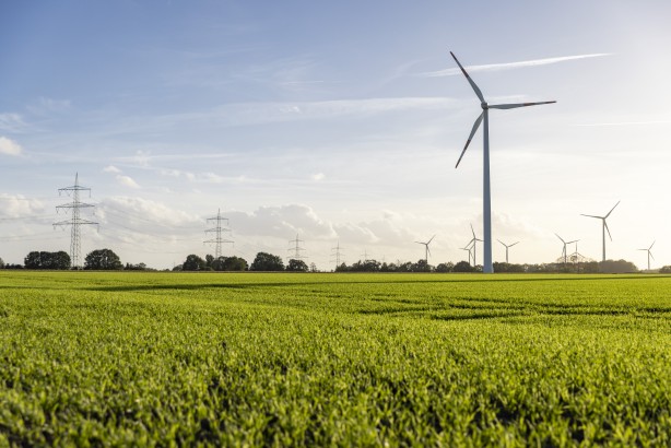 Windpark mit mehreren Windkraftanlagen und Hochspannungsmasten in einem grünen Feld unter bewölktem Himmel.