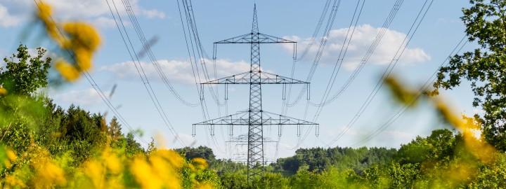 Es folgt eine Bildbeschreibung:
Das Foto im Querformat zeigt eine Trasse, die durch grüne Landschaft verläuft. Der blaue Himmel und unscharfe gelbe Blüten im Vordergrund verleihen dem Bild eine sommerliche Atmosphäre.
Ende der Bildbeschreibung.
