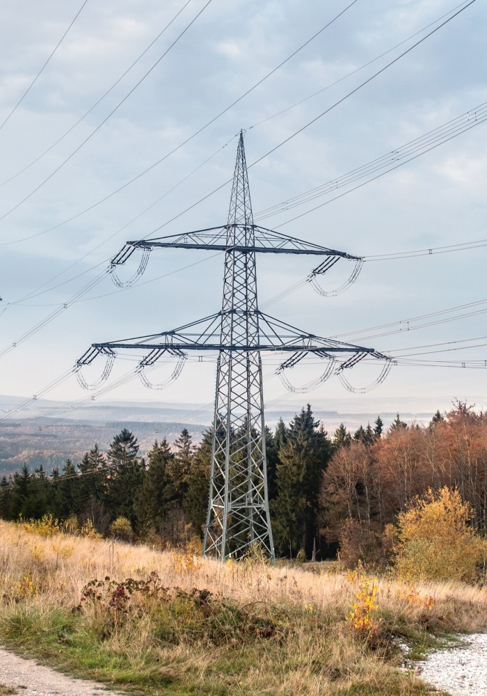 Es folgt eine Bildbeschreibung:
Das Foto im Querformat zeigt eine vom Erdboden aus fotografierte Trasse im Herbst. Die Trasse folgt dem Blick des Betrachters zum Horizont. Unterhalb der Trasse verläuft ein Schotterweg, die Trasse ist rechts und links von herbstlich-braunen Bäumen gesäumt. Das Bild erzeugt eine ruhige Stimmung.
Ende der Bildbeschreibung.