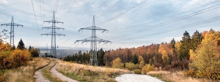 Es folgt eine Bildbeschreibung:
Das Foto im Querformat zeigt eine vom Erdboden aus fotografierte Trasse im Herbst. Die Trasse folgt dem Blick des Betrachters zum Horizont. Unterhalb der Trasse verläuft ein Schotterweg, die Trasse ist rechts und links von herbstlich-braunen Bäumen gesäumt. Das Bild erzeugt eine ruhige Stimmung.
Ende der Bildbeschreibung.