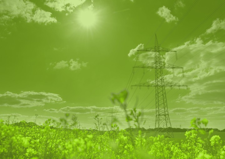 Ein grünes Bild von einer Freileitung in einem Feld bei Sonnenschein