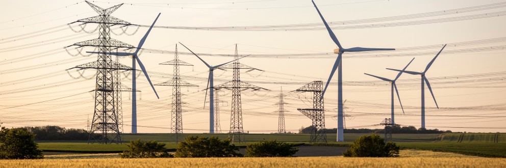 Mehrere Hochspannungsmasten und Windkraftanlagen im Abendlicht über einem Getreidefeld.