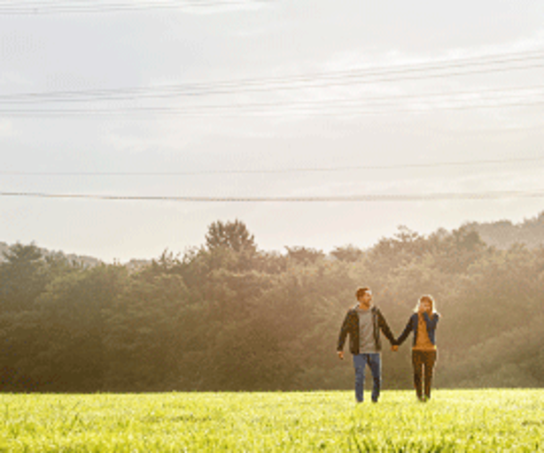 Das Foto zeigt ein Pärchen Händchen haltenders Weise auf einer grünen Wiese, im Hintergrund ist Wald. Über Ihnen sind Höchstspannungsleitungen zu sehen. 