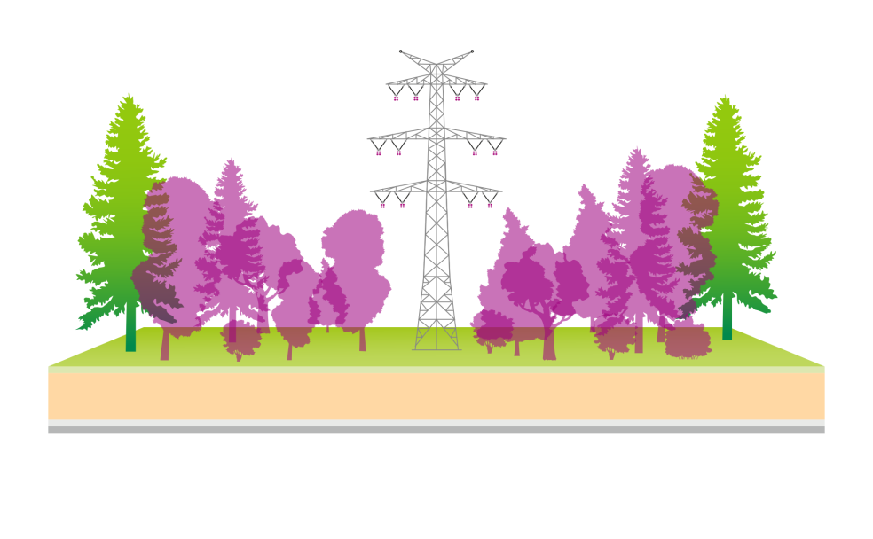 Eine Grafik zeigt einen großen, grauen Hochspannungsmast umgeben von einer stilisierten Waldlandschaft mit grünen Tannen und magenta/violetten Laubbäumen.
