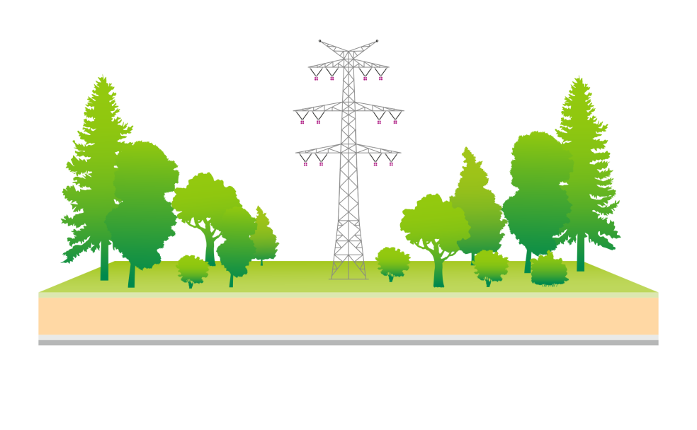 Eine Illustration zeigt einen Hochspannungsmast in einer Landschaft mit verstreuter Vegetation. Unterschiedliche Baumarten sind in Gruppen links und rechts des Masts angeordnet, wobei eine offene Fläche um die Stromleitung freigehalten wurde. Der Bodenquerschnitt bleibt gleich und deutet auf verschiedene Erdschichten hin. Diese Darstellung betont einen ausgewogenen Ansatz zwischen Naturschutz und Stromnetzinfrastruktur.