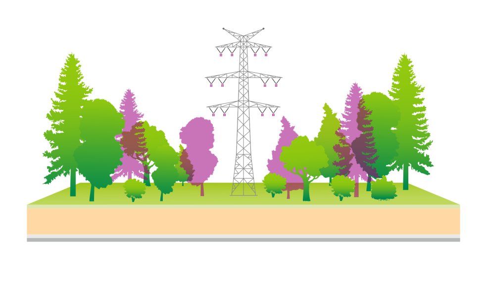 Eine stilisierte Illustration zeigt einen Hochspannungsmast, der von einer dichten Waldlandschaft umgeben ist. Unterschiedliche Baumarten in verschiedenen Grüntönen stehen nah beieinander. Der Mast ist in grauer Farbe dargestellt, seine Leitungen verlaufen nicht sichtbar aus dem Bild. Der Querschnitt des Bodens zeigt mehrere Farbschichten, die auf Erdschichten oder verschiedene Nutzungsebenen hinweisen. Die Illustration verdeutlicht die Koexistenz von Strominfrastruktur und Natur.