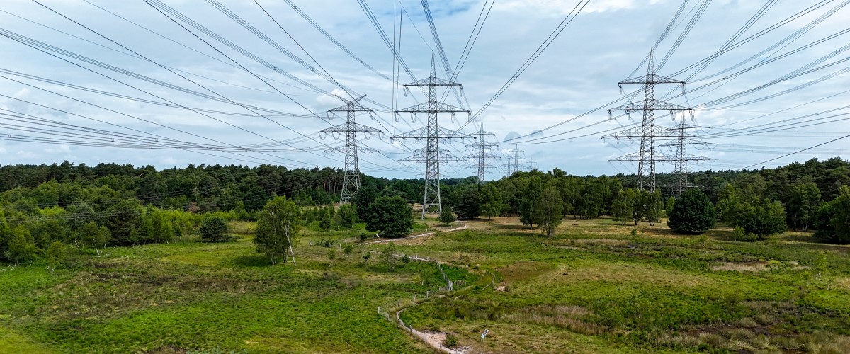 Mehrere Hochspannungsmasten stehen in einer offenen, grünen Landschaft mit Wiesen, Bäumen und Wald im Hintergrund. Über den Himmel ziehen zahlreiche Stromleitungen. Die Szene zeigt den Eingriff von Infrastruktur in die Natur.