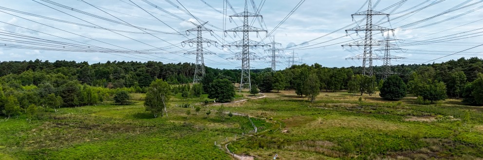 Mehrere Hochspannungsmasten stehen in einer offenen, grünen Landschaft mit Wiesen, Bäumen und Wald im Hintergrund. Über den Himmel ziehen zahlreiche Stromleitungen. Die Szene zeigt den Eingriff von Infrastruktur in die Natur.