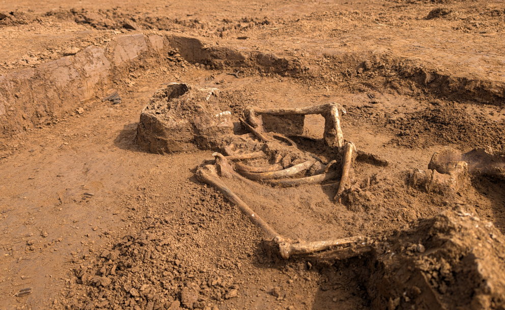 Menschliches Skelett, teilweise freigelegt in einer archäologischen Grabungsgrube.