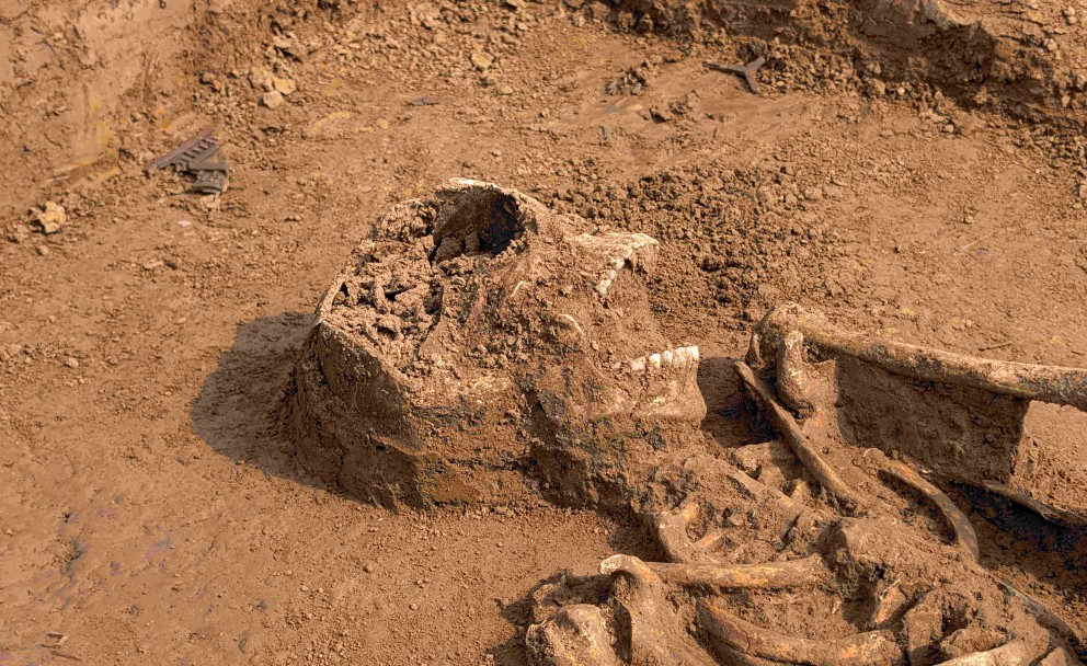 Menschlicher Schädel und Skelett, teilweise freigelegt im Erdreich einer archäologischen Grabung.