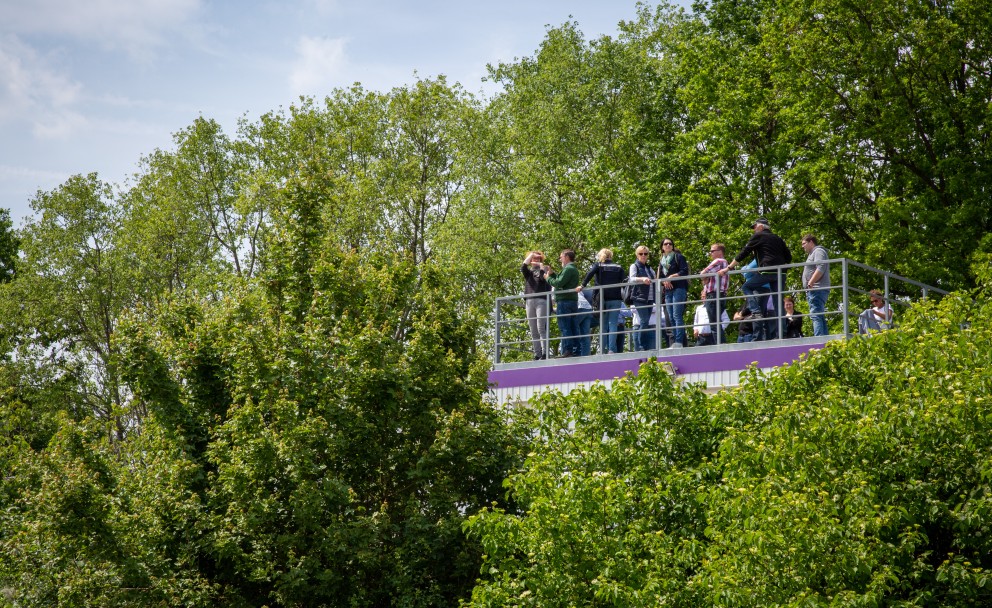 Eine Gruppe von Menschen steht auf einer Aussichtsplattform, umgeben von dichtem grünem Laubwerk.