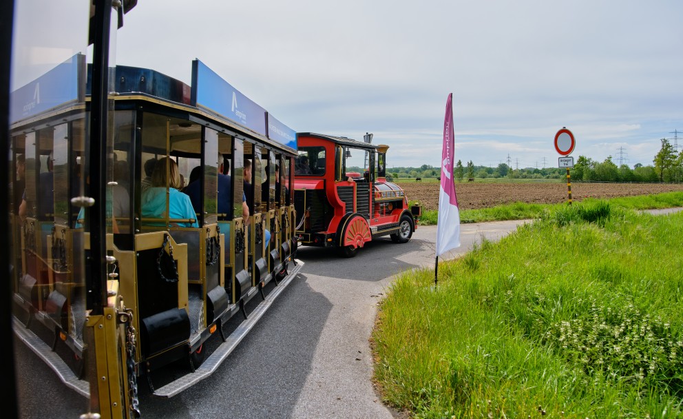 Eine rot-beige Bimmelbahn mit besetzten Waggons fährt auf einer Straße an Feldern und Wiesen vorbei.