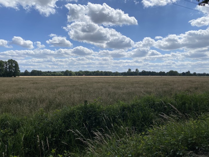 Landschaft der Heubach Niederungen
(c) Britta Peveling