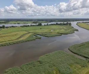 Luftaufnahme einer weiten Flusslandschaft mit grünen Wiesen, Schilfgürteln und einem bewölkten Himmel.