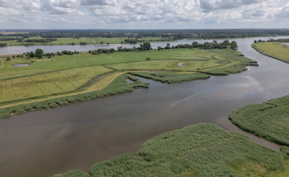 Luftaufnahme einer weiten Flusslandschaft mit grünen Wiesen, Schilfgürteln und einem bewölkten Himmel.