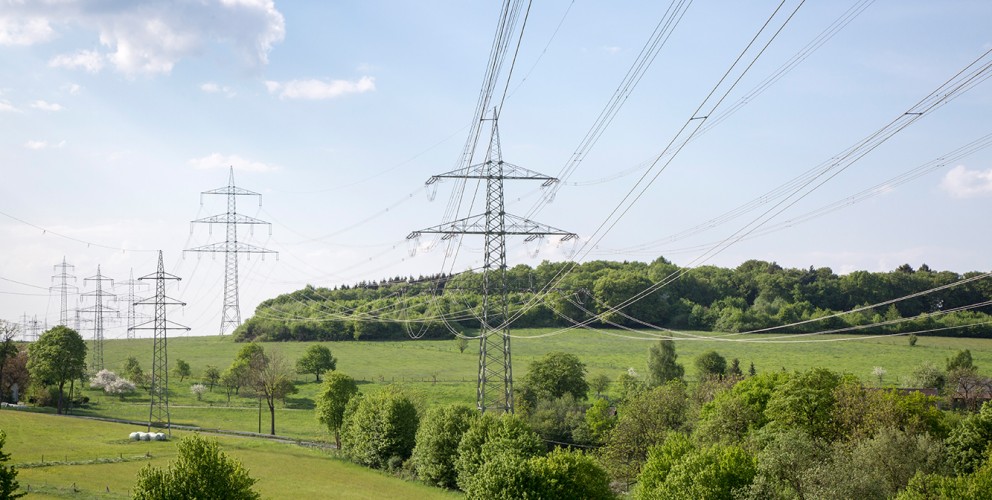 Das Bild zeigt eine weite Landschaft unter einem hellblauen Himmel mit einigen weißen Wolken. Im Vordergrund erstreckt sich ein grünes, leicht hügeliges Gelände mit vereinzelten Bäumen und Sträuchern. Im Mittelgrund sind mehrere große, silberne Hochspannungsmasten zu sehen, die in einer Reihe über die Landschaft verlaufen. Zwischen den Masten spannen sich zahlreiche dicke Stromleitungen, die sich diagonal durch das Bild ziehen und im Hintergrund in der Ferne zu verschwinden scheinen. Hinter den Masten erstreckt sich ein dichter, grüner Wald, der bis zum Horizont reicht und sanft ansteigt. Die Lichtverhältnisse deuten auf einen sonnigen Tag hin, wobei die Farben der Landschaft satt und klar wirken. Die Perspektive ist leicht erhöht, was einen guten Überblick über das Zusammenspiel von Technologie und Natur in dieser Szene ermöglicht.