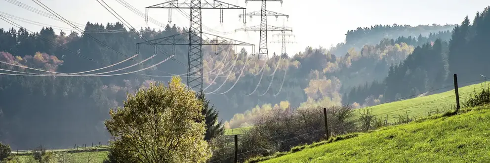 Zwei große Hochspannungsmasten in einer hügeligen, bewaldeten Landschaft.