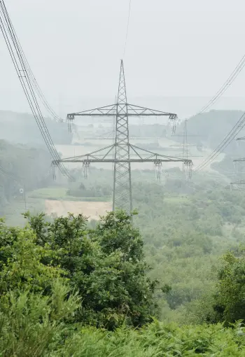 Eine hügelige, bewaldete Landschaft, aufgenommen aus der Vogelperspektive, mit drei markanten Hochspannungsmasten aus Stahl, die Stromleitungen durch das Tal führen. Die unteren Bereiche sind dicht bewachsen mit grünen Sträuchern und Farnen.
