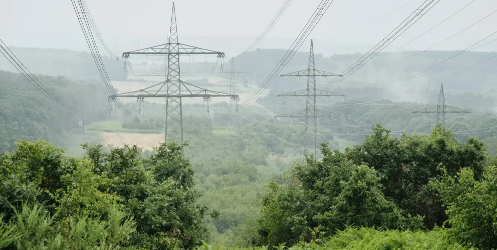 Eine hügelige, bewaldete Landschaft, aufgenommen aus der Vogelperspektive, mit drei markanten Hochspannungsmasten aus Stahl, die Stromleitungen durch das Tal führen. Die unteren Bereiche sind dicht bewachsen mit grünen Sträuchern und Farnen.
