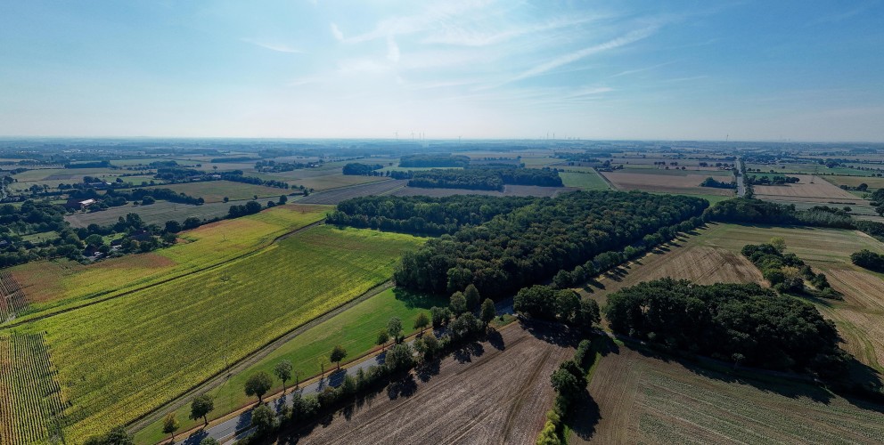 Luftaufnahme einer weiten, ländlichen Landschaft mit verschiedenfarbigen landwirtschaftlichen Feldern, dunklen Waldstücken und Baumreihen. Im Hintergrund sind mehrere Windräder am Horizont sichtbar.