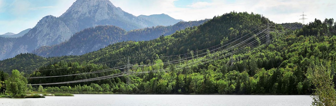 Das Bild zeigt eine malerische Landschaftsszene mit einem See im Vordergrund, bewaldeten Hügeln und Bergen im Mittelgrund und einer markanten Bergspitze im Hintergrund. Das Wetter scheint sonnig oder leicht bewölkt zu sein.
Vordergrund (See):
Ein ruhiger See nimmt den Großteil des unteren Bildbereichs ein. Die Wasseroberfläche ist leicht gekräuselt und reflektiert das Licht, wodurch sie silbrig-grau erscheint.
Am rechten und linken Ufer sind Ansätze von grüner Vegetation zu sehen, die ins Wasser ragen.
In der Mitte des Sees, in einiger Entfernung zum Betrachter, befindet sich ein kleines Ruderboot. Im Boot sind drei Personen als dunkle Silhouetten zu erkennen, die alle in Richtung des linken Bildrandes blicken oder dort angeln.
Mittelgrund (Bewaldete Hügel und Stromleitung):
Hinter dem See erheben sich bewaldete Hügel, die fast vollständig mit dichten, grünen Nadel- und Laubbäumen bedeckt sind. Die Bäume zeigen verschiedene Grüntöne, von hellem Frühlingsgrün bis zu dunklerem Tannengrün.
Über die bewaldeten Hügel, etwa in der Mitte des Bildes, verläuft eine markante Hochspannungsleitung. Die grauen oder silbernen Leitungsseile sind deutlich sichtbar, und sie werden von mehreren großen Strommasten getragen, die auf den bewaldeten Hügeln stehen. Einer der Masten ist deutlich auf dem rechten Hügel zu sehen, ein weiterer, kleinerer mastähnlicher Gegenstand ist weiter links, im mittleren Hügelbereich zu erkennen. Die Leitungen scheinen sich von links nach rechts über das Bild zu spannen.
Hintergrund (Berge und Himmel):
Hinter den bewaldeten Hügeln erheben sich höhere, zerklüftete Berge. Der prominenteste Berg im Hintergrund ist eine spitz zulaufende, felsige Spitze, die in der Mitte des Bildes aufragt. Dieser Berg erscheint graublau und massiv, mit Details der Felsformationen.
Die anderen Berge im Hintergrund sind ebenfalls grau und blau gefärbt, was auf ihre Entfernung hindeutet, und bilden eine wellige Kette.
Der Himmel über den Bergen ist hellblau mit einigen dünnen, weißen Wolken.
Gesamteindruck:
Das Bild vermittelt eine ruhige und majestätische Naturlandschaft, die sowohl unberührte Schönheit als auch menschliche Infrastruktur (die Stromleitung) zeigt. Die Kombination aus See, Wald und Bergen schafft eine klassische alpine oder voralpine Szenerie, die zum Verweilen oder Angeln einlädt.