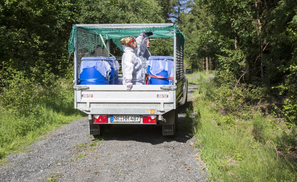 Auf dem Bild sind die blauen Tonnen auf einer Pritsche verladen.