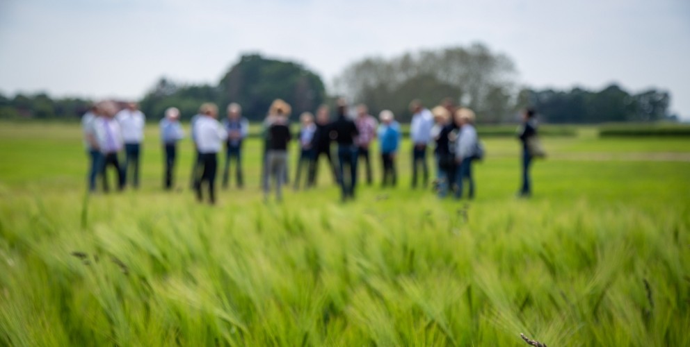 Das Foto ist aus der Perspektive des Feldes aufgenommen, wobei die grünen Ähren im Vordergrund scharf dargestellt sind. Die Gruppe von etwa 15 Personen steht im hinteren Bereich des Feldes und ist unscharf (im Bokeh) zu sehen, was auf eine geringe Schärfentiefe hinweist.
Die Teilnehmer tragen überwiegend legere Kleidung wie Hemden, T-Shirts und Jacken in verschiedenen Farben, darunter Weiß, Blau und Schwarz. Sie sind in kleinen Gruppen angeordnet und scheinen sich zu unterhalten oder einer Präsentation zu folgen.
Der Hintergrund zeigt weiteres offenes Grünland und eine Baumreihe in der Ferne. Der Himmel ist hell und bedeckt. 
