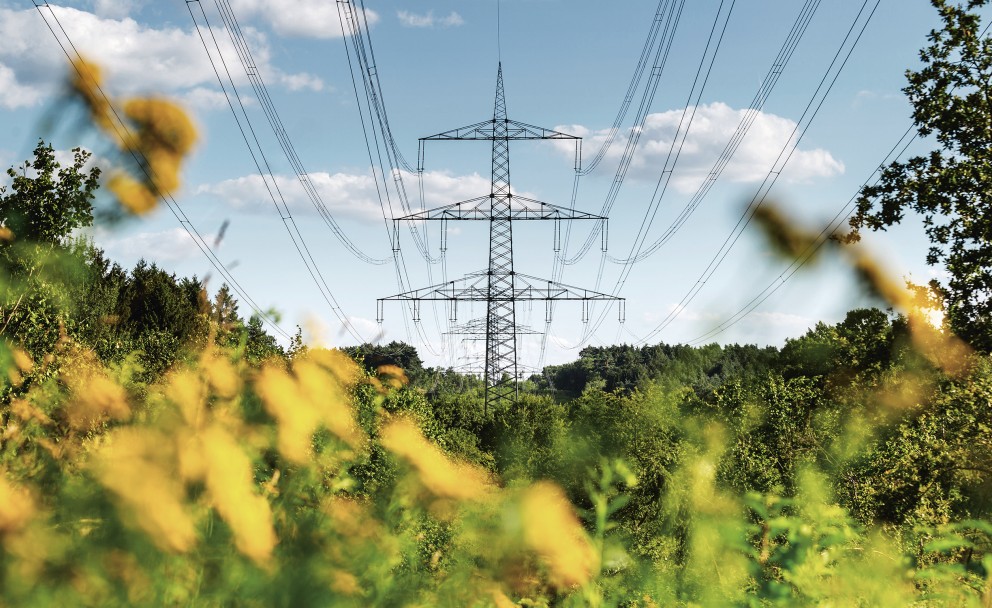 Das freundliche Bild im Querformat zeigt eine Freileitungstrasse in einem Waldgebiet. Die Freileitungsstrasse ist umgeben von Bäumen und Büschen. Der Himmel ist blau, Cumuluswolken sind zu sehen.
