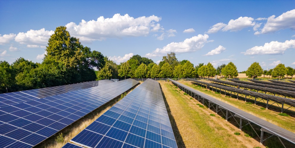 Blick in eine Reihe von Solarpanelen in einem PV-Park. Links und rechts sind weitere Reihen von Solarpanelen erkennbar. Die Panele stehen auf einer Wiese, die von Trockenheit etwas gelblich gefärbt ist. Im Hintergrund Bäume und ein blauer Himmel mit vereinzelten Wolken.