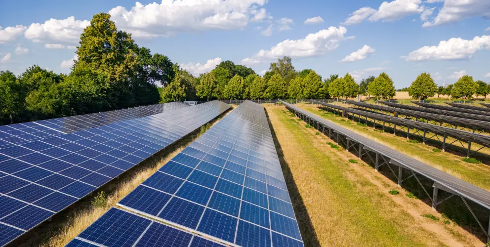Blick in eine Reihe von Solarpanelen in einem PV-Park. Links und rechts sind weitere Reihen von Solarpanelen erkennbar. Die Panele stehen auf einer Wiese, die von Trockenheit etwas gelblich gefärbt ist. Im Hintergrund Bäume und ein blauer Himmel mit vereinzelten Wolken.