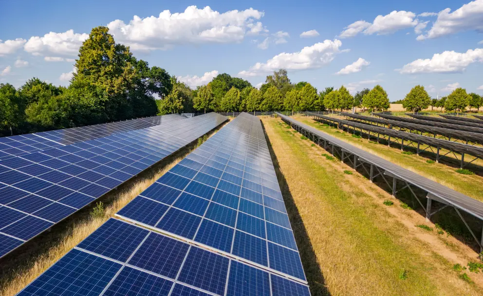 Blick in eine Reihe von Solarpanelen in einem PV-Park. Links und rechts sind weitere Reihen von Solarpanelen erkennbar. Die Panele stehen auf einer Wiese, die von Trockenheit etwas gelblich gefärbt ist. Im Hintergrund Bäume und ein blauer Himmel mit vereinzelten Wolken.
