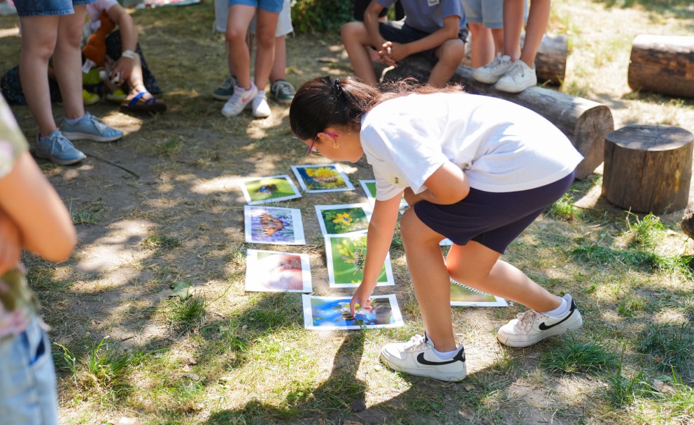 Ein Mädchen beugt sich vor, um auf eines von mehreren Naturfotos zu zeigen, die in einem Kreis aus Kindern auf dem Boden ausliegen.