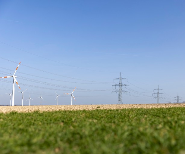 Das freundliche Foto im Querformat zeigt. Windkraftanlagen und eine Stromtrasse vor blauem Himmel. Im Vordergrund ein abgeerntetes Feld. 