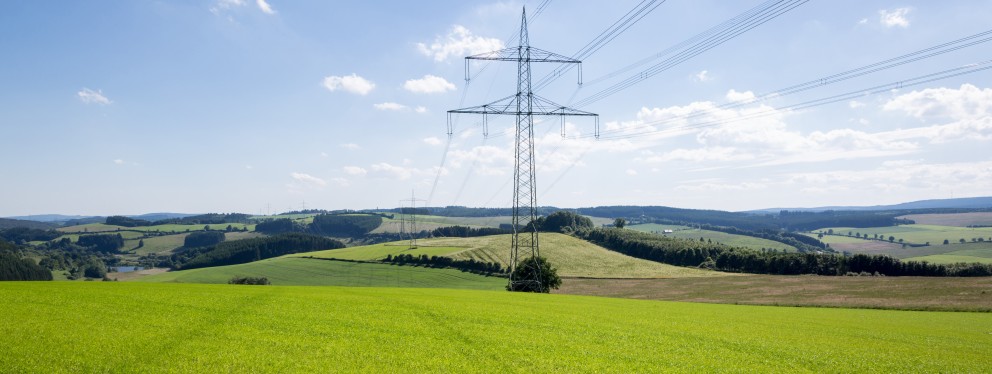 Das Bild zeigt die Masten einer Höchstspannungsleitung in einer hügeligen Landschaft aus Wiesen, Feldern und Wäldern. Es ist sonnig.