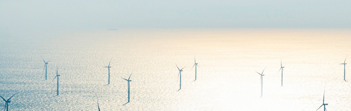 Ein extremes Querformat zeigt eine weitläufige Offshore-Windpark-Szenerie aus einer erhöhten Perspektive.
Hauptmotiv: Über die gesamte Breite des Bildes sind zahlreiche moderne Windkraftanlagen verteilt, die in den ruhigen Ozean gebaut sind. Die weißen Türme und Rotoren der Anlagen wirken filigran und ragen senkrecht aus dem Wasser.
Licht und Farbe: Das Bild ist in einem sehr hellen, fast überbelichteten Stil gehalten (High-Key). Von rechts oben fällt warmes, goldenes Sonnenlicht ein, das die Wasseroberfläche großflächig glitzern lässt und einen weichen Verlauf von zartem Orange zu kühlem Hellblau erzeugt.
Atmosphäre: Durch die weite Verteilung der Windräder und die helle, dunstige Lichtstimmung wirkt das Bild sehr weitläufig, technologisch fortschrittlich und ruhig. Der Horizont verschwimmt im hellen Lichtnebel.

