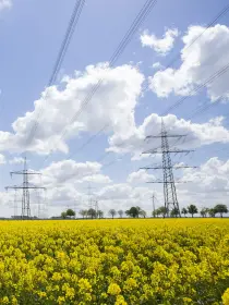 Zahlreiche Hochspannungsmasten verlaufen durch ein weites Rapsfeld in voller gelber Blüte. Darüber ein Himmel mit dichten Wolken und Stromleitungen in alle Richtungen.