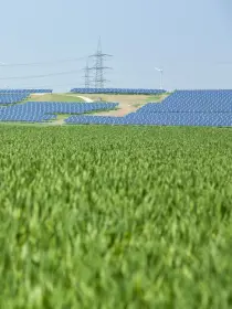 Photovoltaikanlage auf einem leicht ansteigenden Hügel, im Vordergrund ein dichtes grünes Feld. Dahinter Strommasten und Windräder unter blauem Himmel.
