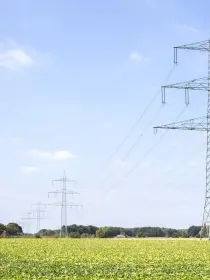 Ein Strommast steht in einem weitläufigen Feld mit grünen Pflanzen, der Himmel ist blau und leicht bewölkt. Weitere Masten verlaufen in einer Linie in die Ferne.