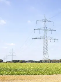  Hochspannungsmasten verlaufen durch ein landwirtschaftlich genutztes Gebiet mit grünem Feld und abgeerntetem Stoppelfeld im Vordergrund. Der Himmel ist klar und blau.