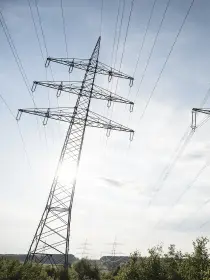 Zwei Hochspannungsmasten ragen hoch in den Himmel, umgeben von grünem Laub. Die Sonne steht tief und wirft Licht durch die Tragseile. Dichte Vegetation im Vordergrund.