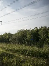 Hochspannungsmast inmitten grüner Vegetation an einem Wassergraben. Die untergehende Sonne scheint durch die Bäume, die Szene wirkt ruhig und naturverbunden.