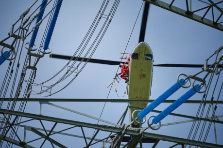Das Foto aus der Froschperspektive zeigt einen unmittelbar neben der Leitung fliegenden, vierblättrigen Hubschrauber mit eingezogenem Fahrwerk. In der Tür des blauen Helikopters sitzt ein Monteur in rotem Overall, welche Vogelschutzmarkierungen anbringt.