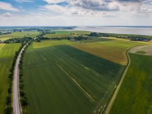 Das Bild zeigt eine weitläufige Landschaft mit grünen und gelblichen Feldern, einer Straße und einem angrenzenden Gewässer. Die Felder sind in rechteckige Parzellen unterteilt und zeigen unterschiedliche Wachstumsstadien von landwirtschaftlichen Kulturen. Eine gerade Straße mit Bäumen an den Seiten verläuft durch die Landschaft, mit einzelnen Fahrzeugen darauf. Im Hintergrund erstreckt sich ein großes Gewässer, möglicherweise ein See oder eine Küstenregion, mit verstreuten Gebäuden und Höfen entlang des Ufers. Der Himmel ist teils bewölkt, mit sonnigen Abschnitten, die die Landschaft erhellen.