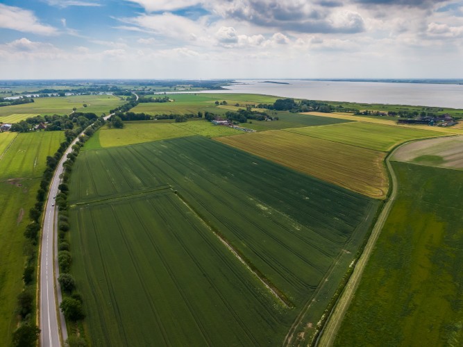 Das Bild zeigt eine weitläufige Landschaft mit grünen und gelblichen Feldern, einer Straße und einem angrenzenden Gewässer. Die Felder sind in rechteckige Parzellen unterteilt und zeigen unterschiedliche Wachstumsstadien von landwirtschaftlichen Kulturen. Eine gerade Straße mit Bäumen an den Seiten verläuft durch die Landschaft, mit einzelnen Fahrzeugen darauf. Im Hintergrund erstreckt sich ein großes Gewässer, möglicherweise ein See oder eine Küstenregion, mit verstreuten Gebäuden und Höfen entlang des Ufers. Der Himmel ist teils bewölkt, mit sonnigen Abschnitten, die die Landschaft erhellen.