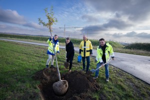 Das Bild zeigt vier Personen beim Pflanzen eines jungen Baums auf einer Wiese neben einer Straße. Zwei der Personen tragen gelb leuchtende Warnjacken mit blauen Akzenten, während eine dritte Person eine gelb-schwarze Jacke und die vierte eine dunkle Jacke trägt. Eine Person hält den Baumstamm aufrecht, während zwei andere mit Schaufeln Erde um das Wurzelwerk verteilen. Die vierte Person hält eine blaue Gießkanne in der Hand. Im Hintergrund sind Baukräne und eine leicht bewölkte Himmelsszenerie zu sehen. Die Stimmung wirkt freundlich und engagiert.