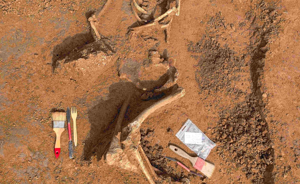 Das Bild zeigt die Nahaufnahme eines menschlichen Skeletts, das in einer archäologischen Ausgrabungsstätte freigelegt wurde. Das Skelett liegt in brauner Erde, teilweise noch mit Schmutz bedeckt. Man sieht den Brustkorb, die Arme und Teile des Beckens. Neben den Knochen sind die Werkzeuge der Archäologen zu sehen: links liegen ein Pinsel, eine Gabel und ein Messer, die wahrscheinlich zur sorgfältigen Entfernung der Erde dienen. Rechts neben dem Skelett befinden sich weitere Pinsel und ein kleines weißes Schild, das zur Dokumentation des Fundes genutzt wird. Die Erde um die Knochen herum ist locker und wurde bereits bearbeitet.