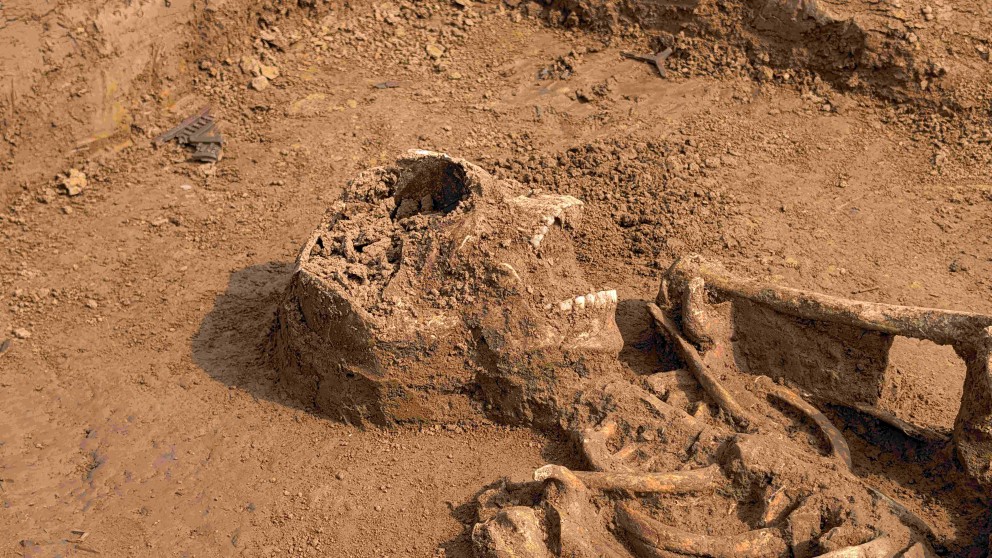 Auf dem Bild ist eine Nahaufnahme eines menschlichen Schädels zu sehen, der bei archäologischen Ausgrabungen freigelegt wurde. Der Schädel liegt seitlich und ist teilweise von brauner Erde bedeckt. Man erkennt deutlich die Zähne im Ober- und Unterkiefer sowie die Augenhöhlen. Im Hintergrund sind weitere Teile des Skeletts, wie beispielsweise Rippen und Armknochen, erkennbar, die ebenfalls aus dem Erdreich ragen. Das Foto wurde aus einer leicht erhöhten Perspektive aufgenommen, um einen detaillierten Blick auf den Fund zu ermöglichen.