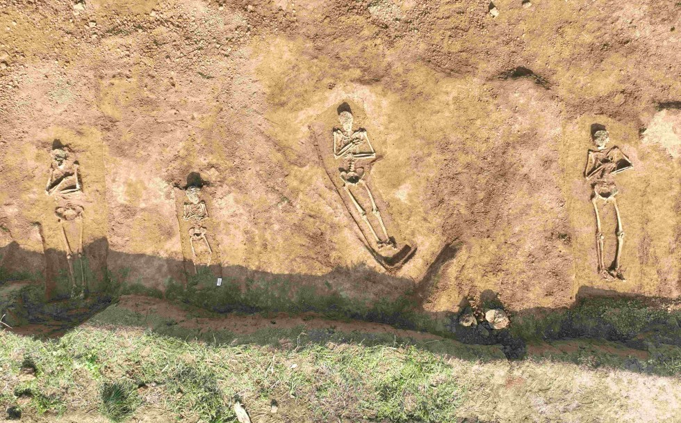 Das Bild zeigt eine archäologische Ausgrabungsstätte, in der vier menschliche Skelette in einer ausgehobenen Grube zu sehen sind. Die Skelette sind in relativ guter Verfassung und liegen nebeneinander, mit den Händen vor dem Becken verschränkt. Die Erde um die Knochen herum wurde sorgfältig entfernt, um sie freizulegen.