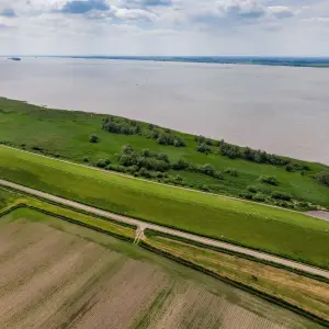 Blick über die Elbe bei Wewelsfleth an einem sonnigen Tag. Im Vordergrund liegt ein grasbewachsener Deich, dahinter der breite Fluss. Am gegenüberliegenden Ufer stehen vereinzelte Bäume und Häuser, rechts ist ein Windrad sichtbar. Der Himmel ist fast wolkenlos und spiegelt sich teilweise im Wasser.